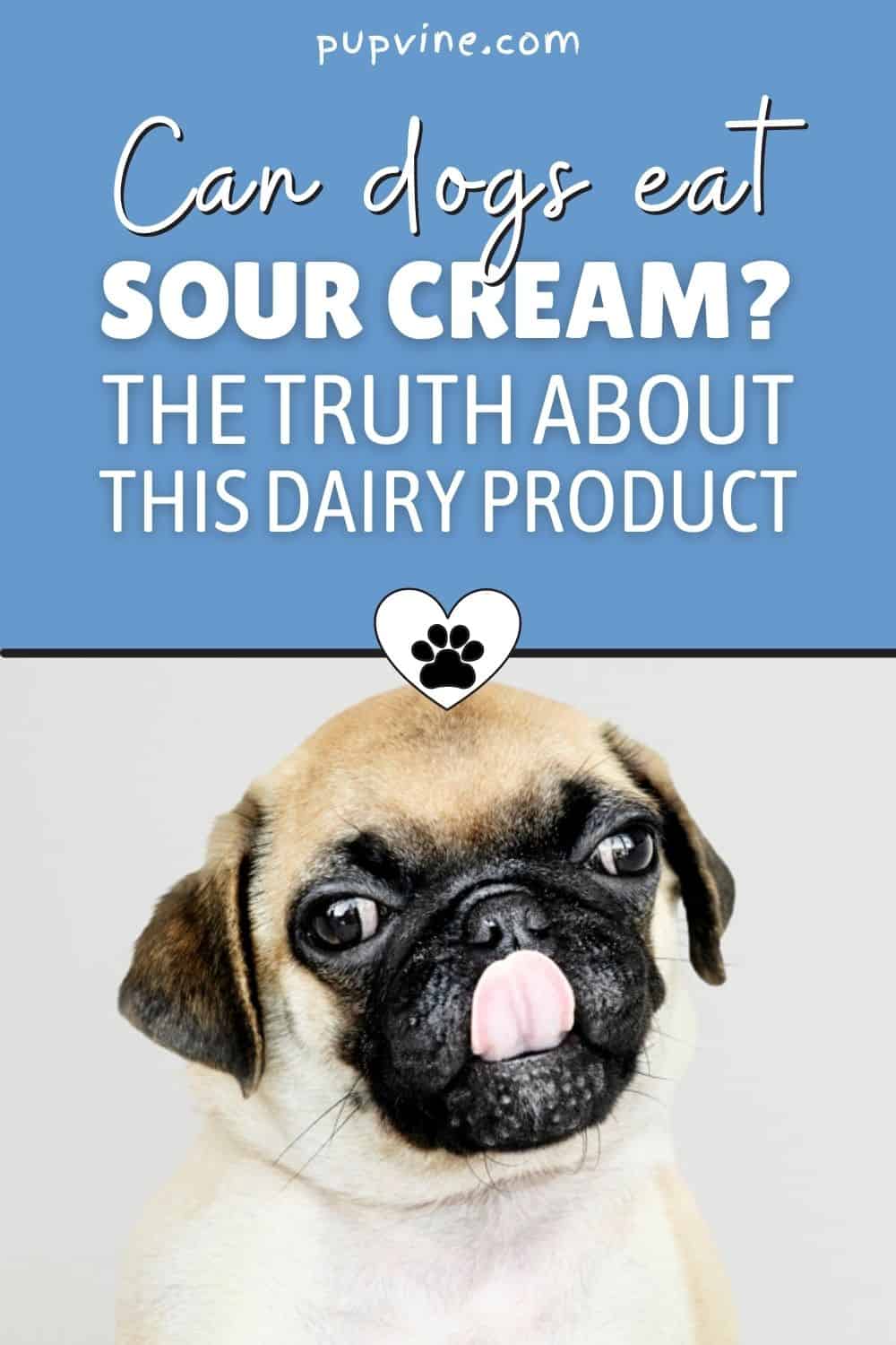 Can Dogs Eat Sour Cream_ The Truth About This Dairy Product