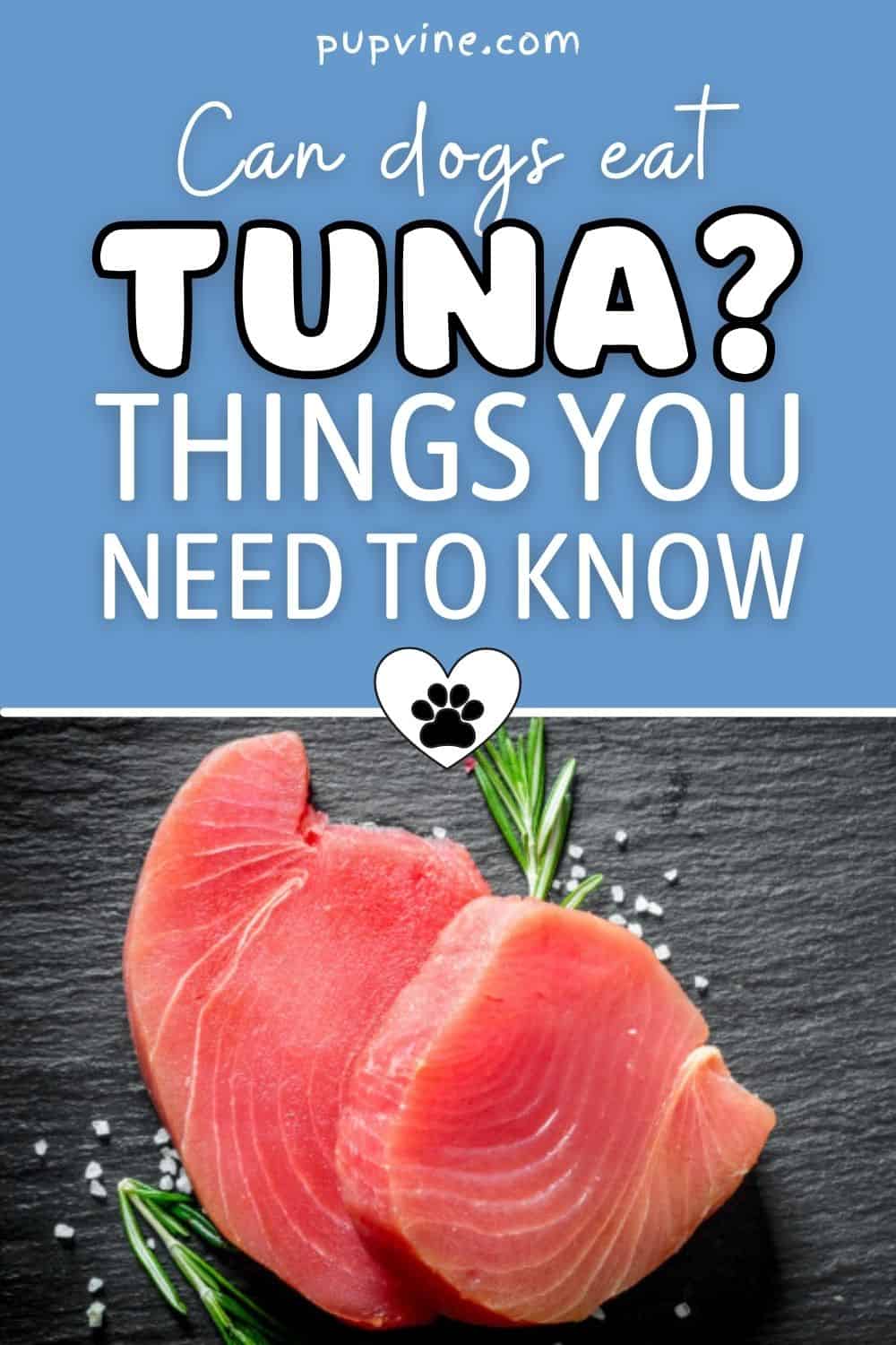 Can Dogs Eat Tuna? Things You Need To Know