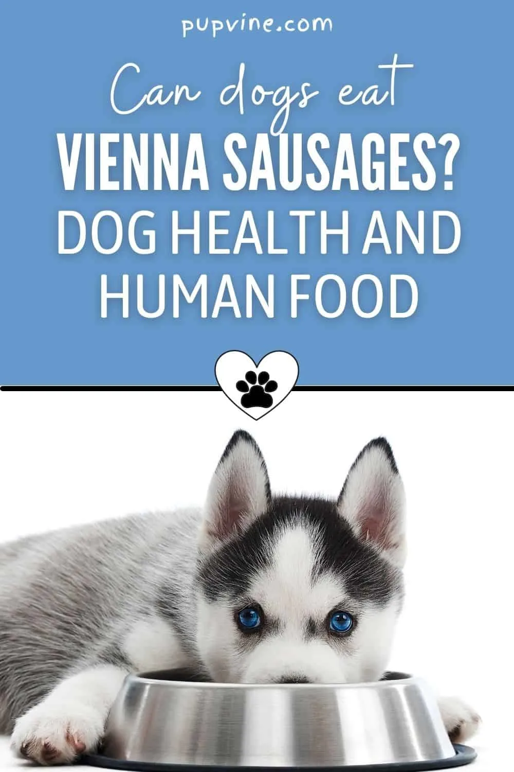 Can Dogs Eat Vienna Sausages? Dog Health And Human Food