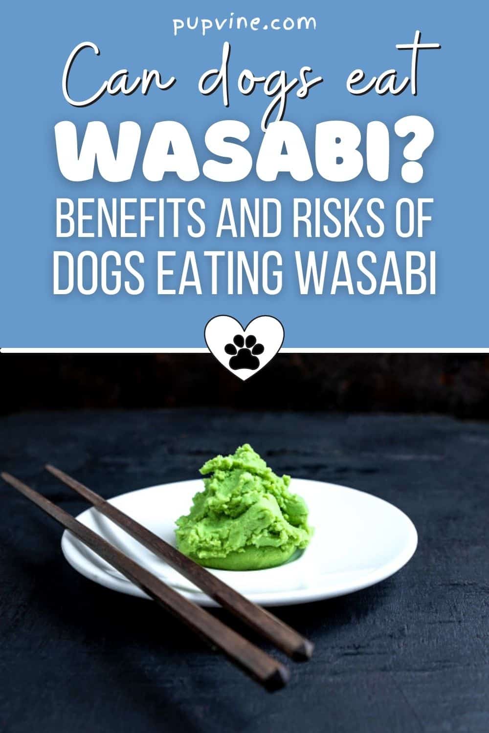Can Dogs Eat Wasabi? Benefits And Risks of Dogs Eating Wasabi