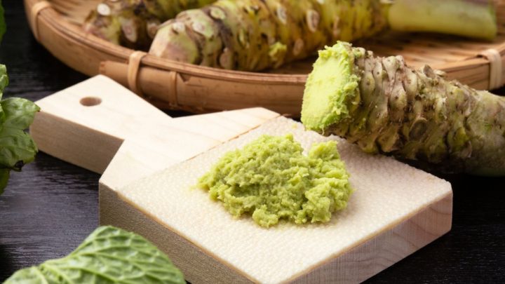 Can Dogs Eat Wasabi? Benefits & Risks Of This Food For Dogs
