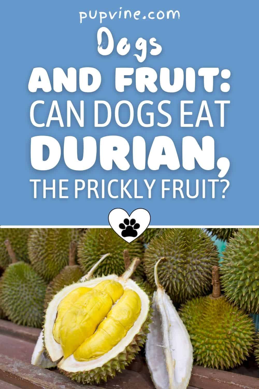 Dogs And Fruit: Can Dogs Eat Durian, The Prickly Fruit?