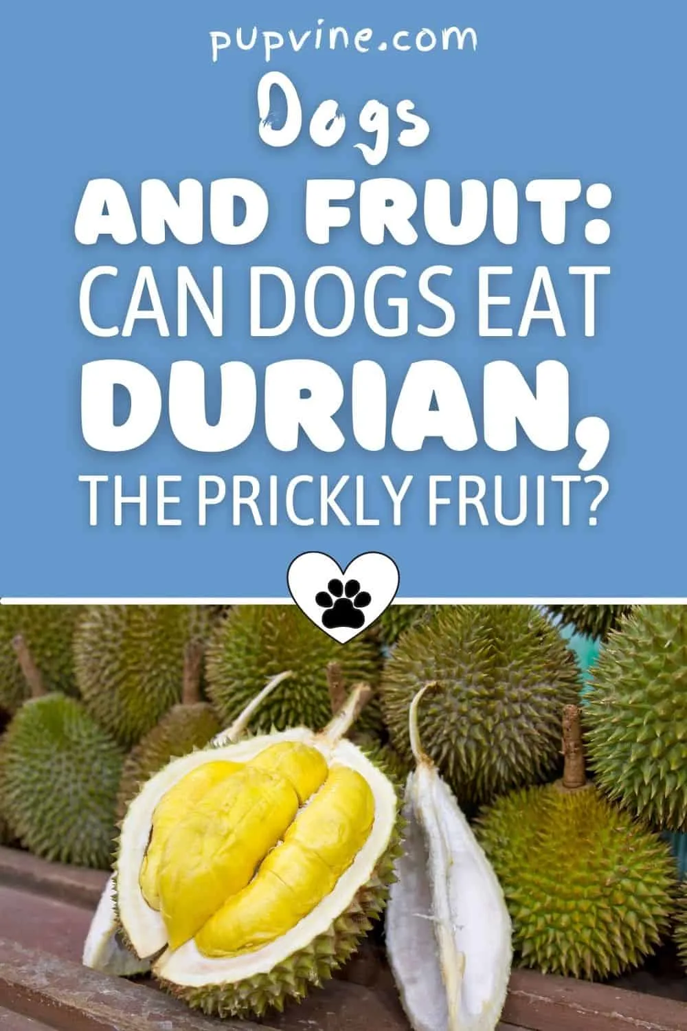 Dogs And Fruit: Can Dogs Eat Durian, The Prickly Fruit?