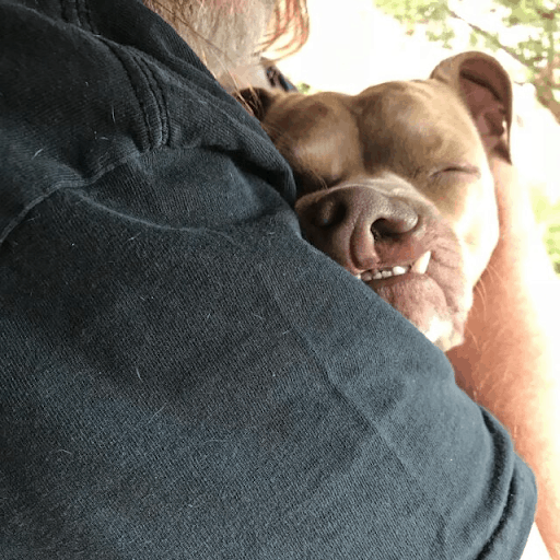 Dog’s Unusual Smile Made A Shelter Volunteer Fall In Love