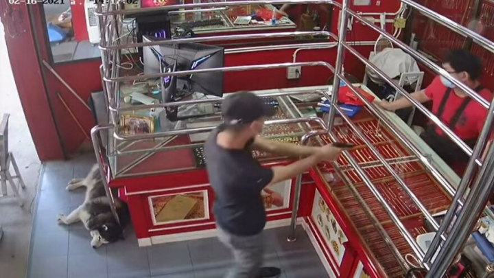 Sleeping On Guard: How Lucky The Dog Slept Through A Staged Armed Robbery