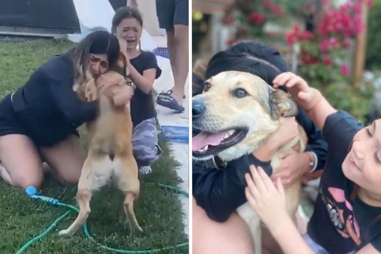 a kid reunites with her lost family dog after two months