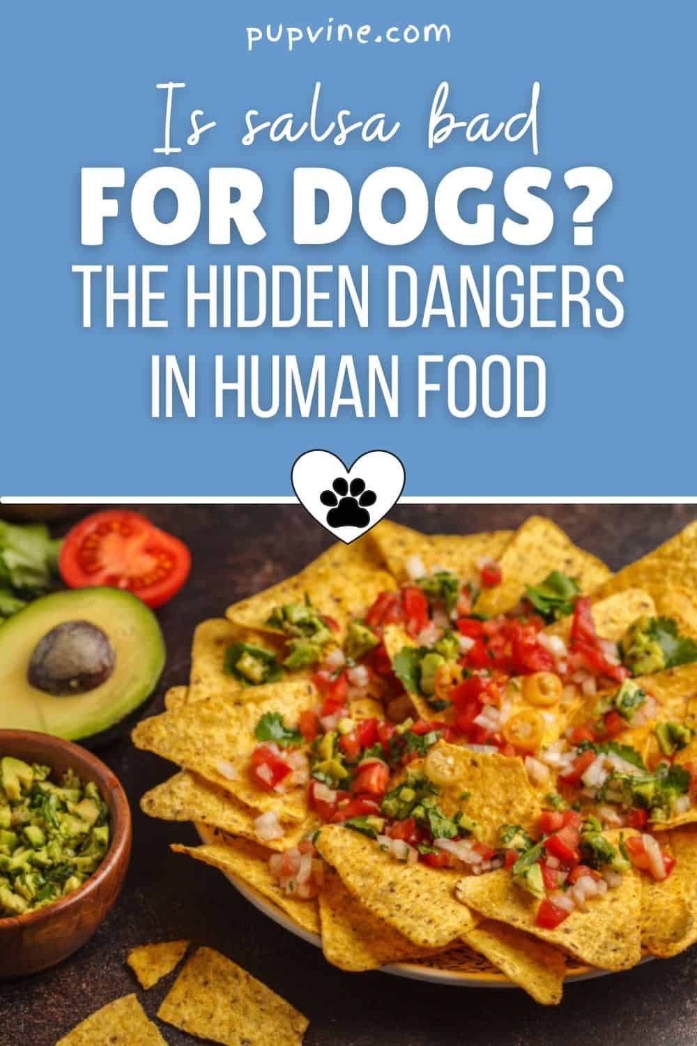 Is Salsa Bad For Dogs? The Hidden Dangers In Human Food