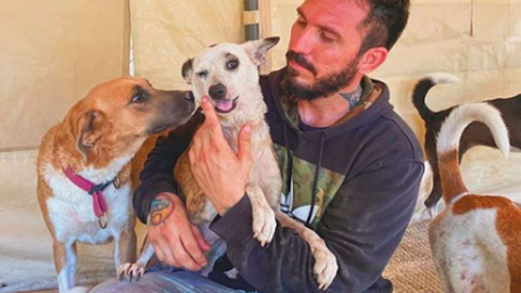 A Sacrifice Worthy Of A Medal: Man Brings 300 Dogs Into His House To Save Them From A Hurricane