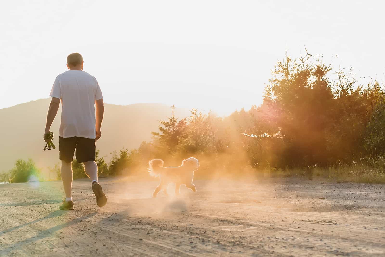 Man and dog walking into dusty sunset