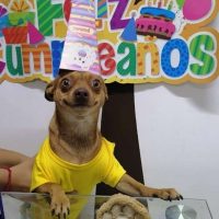 Odin’s Big Day