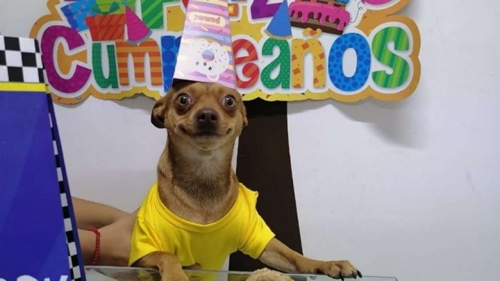 Odin’s Big Day: A Birthday Party You’d Actually Want To Go To