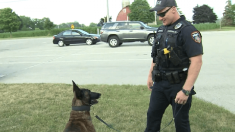 Chilling Out: Officers Rescue A Dog From A Burning House