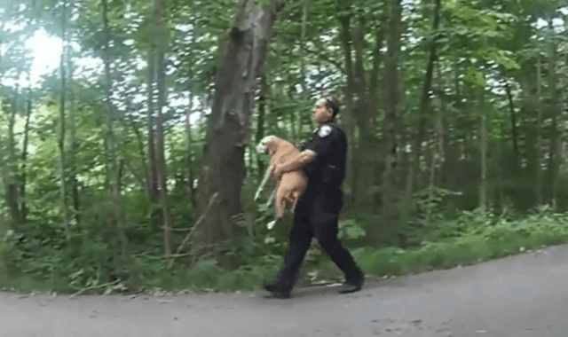 Officers Rescue A Dog From A Burning House 2