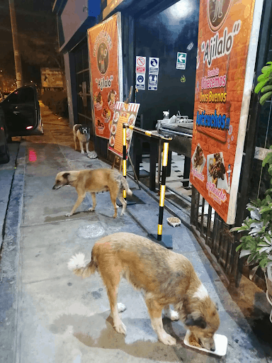 Restaurant Owner Prepares Free Meals 2