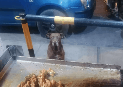 Restaurant Owner Prepares Free Meals 3