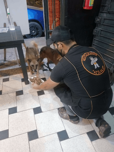 Restaurant Owner Prepares Free Meals 5