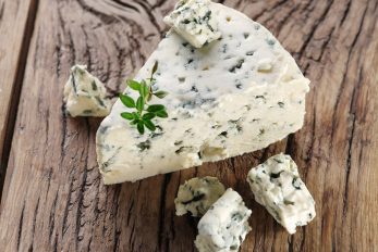 Can Dogs Eat Blue Cheese? The Truth About Dairy And Dogs