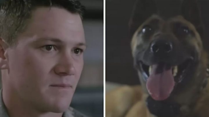 Soldier Adopts A Written Off Military Canine