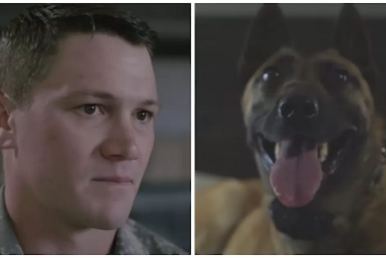 Soldier Adopts A “Scary” Dog
