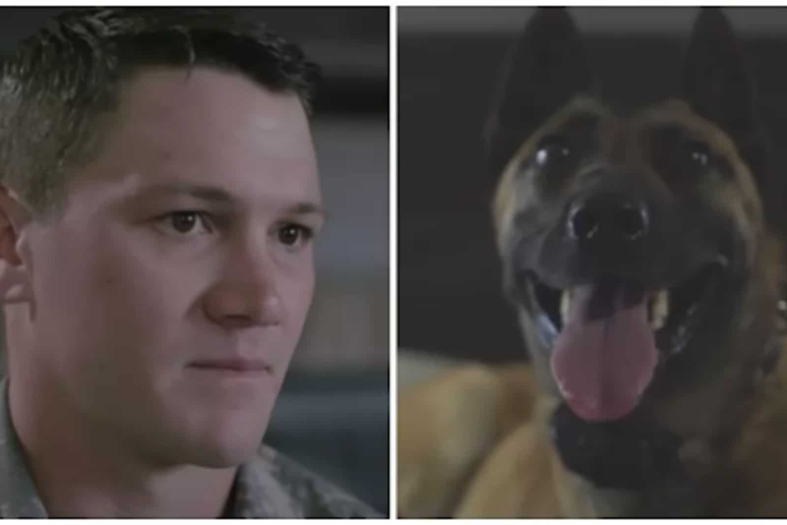 Soldier Adopts A Written Off Military Canine