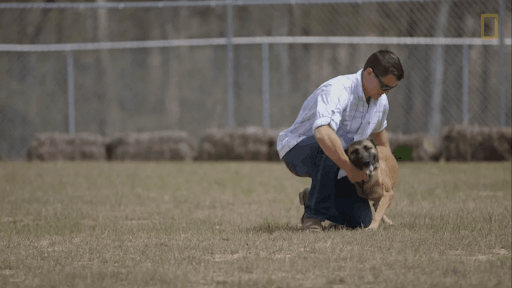 Soldier Adopts A “Scary” Dog