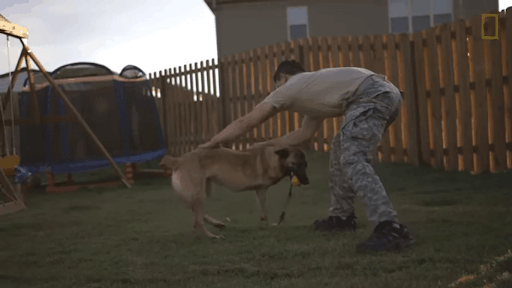 Soldier Adopts A “Scary” Dog