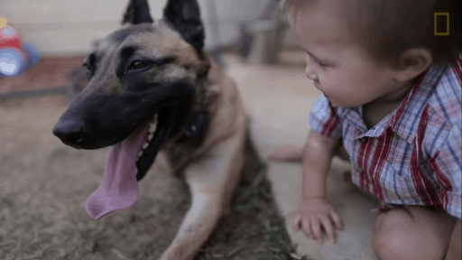 Soldier Adopts A “Scary” Dog