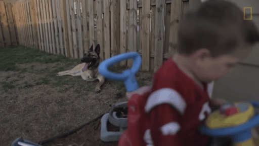 Soldier Adopts A “Scary” Dog