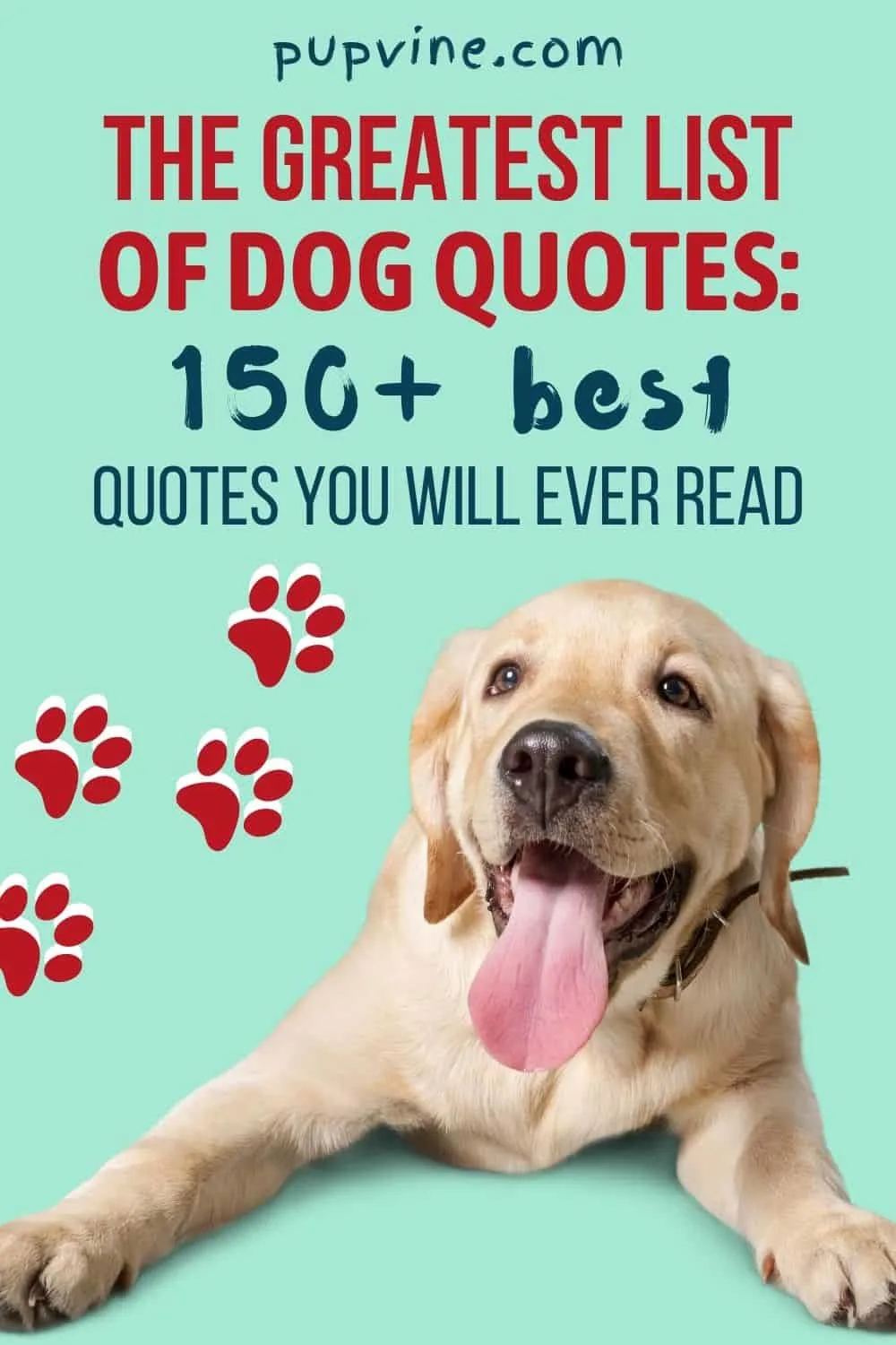 The Greatest List Of Dog Quotes: 150+ Best Quotes You Will Ever Read