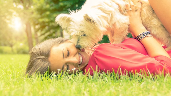 Why Does My Dog Lick Me? Nine Reasons Why Dogs Lick You