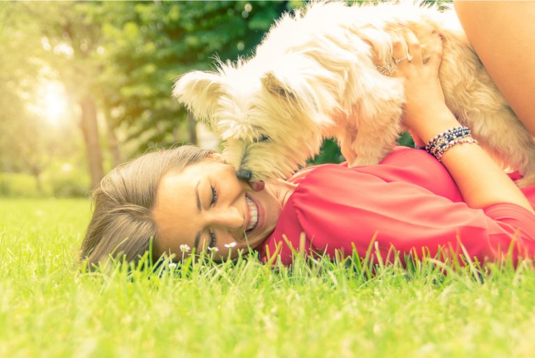 dog licking it's owner lying on the grass