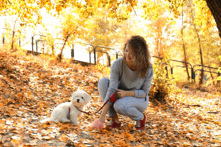 a woman cleans the poop of her dog in the park