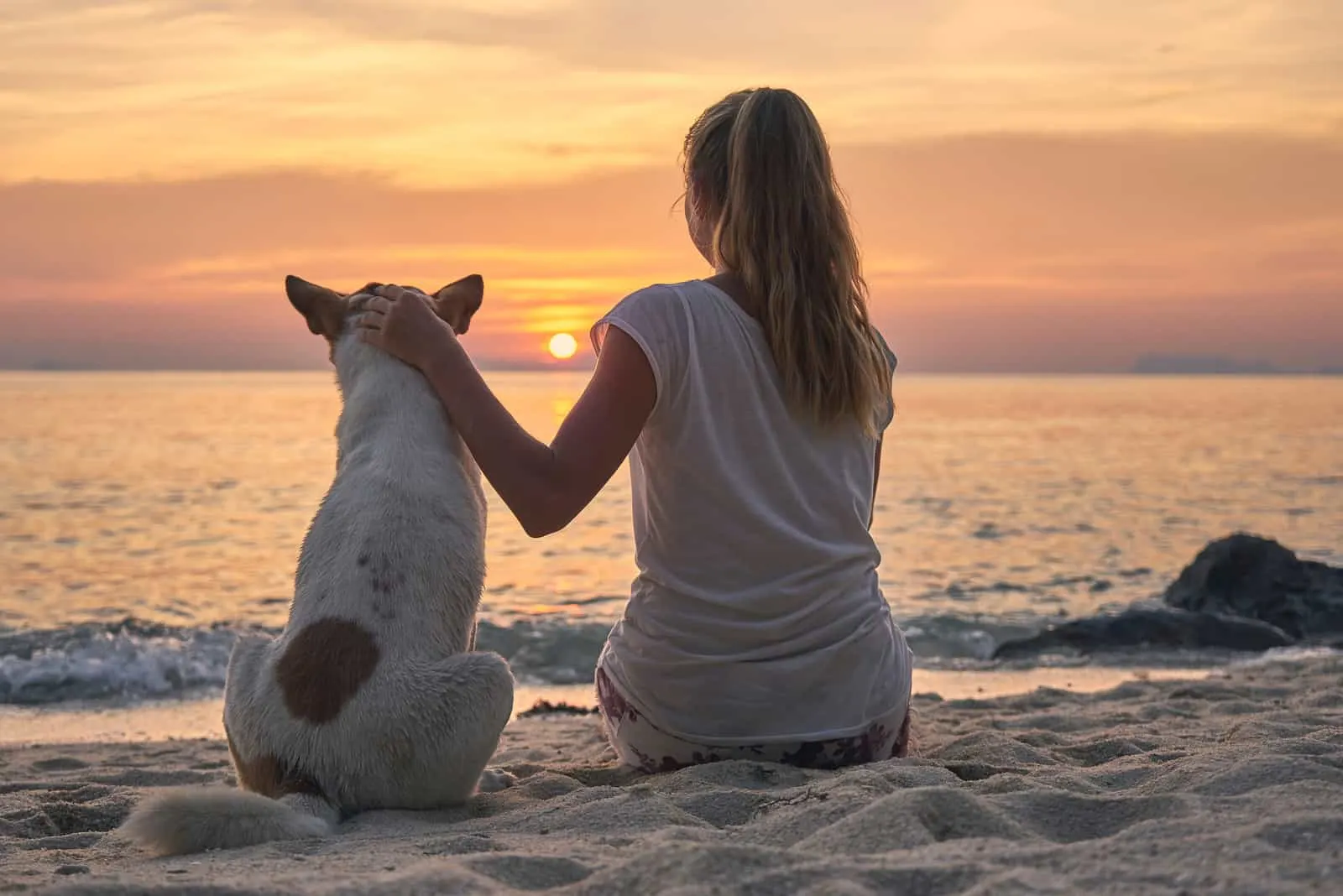 a dog and a woman are sitting on the beach watching the sunset