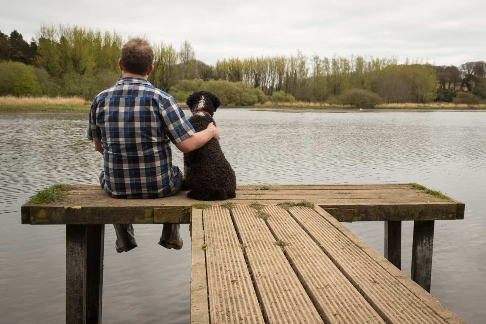 a man and a dog are sitting on the wooden pier of the lake