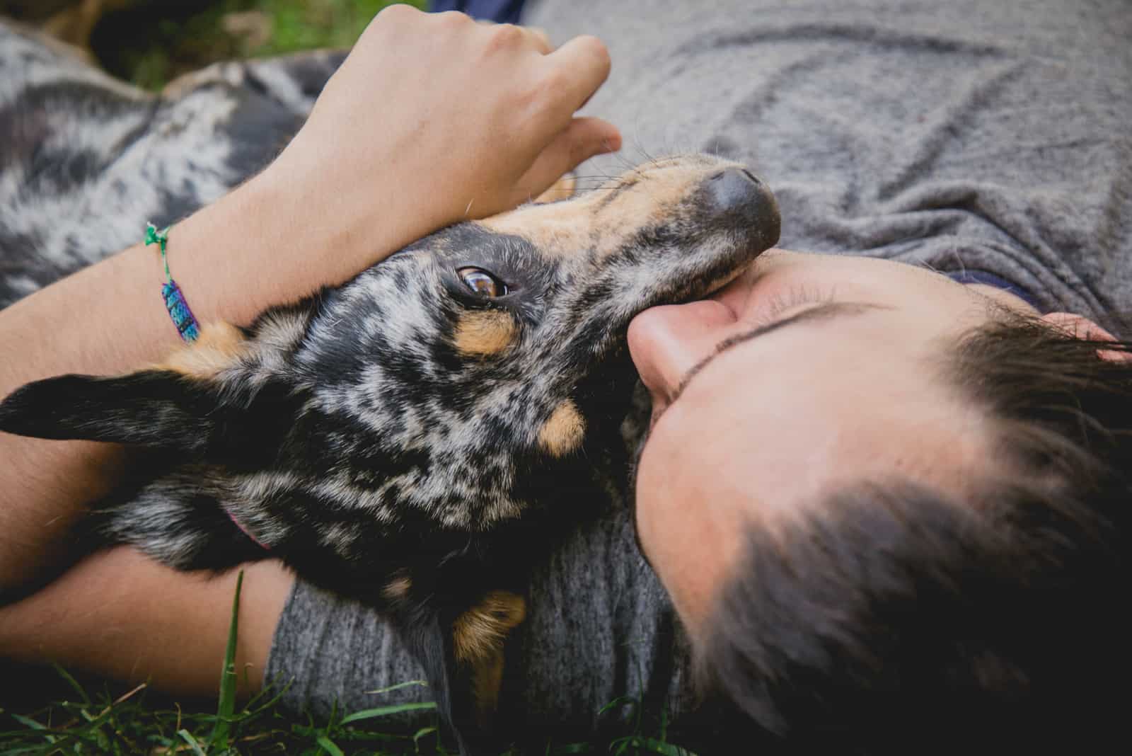 a man kisses and hugs his dog