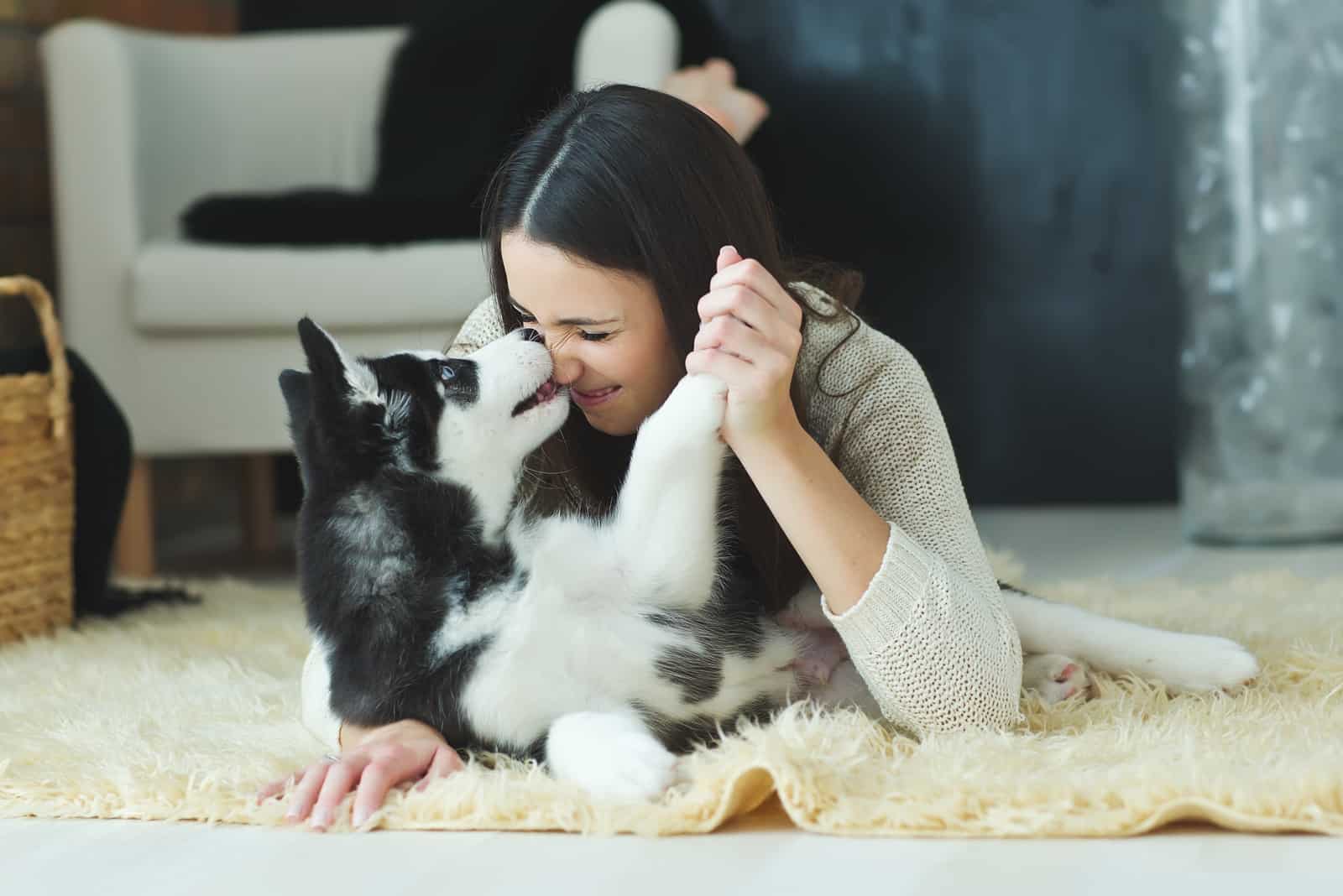 a woman is having fun with a husky on the floor of the room
