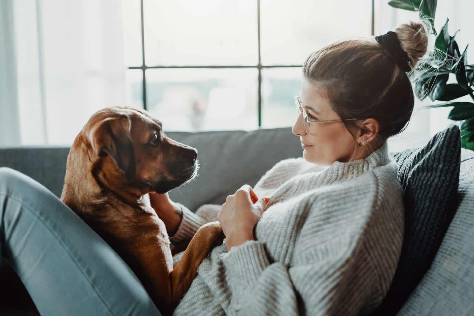 a woman on the couch caresses her dog