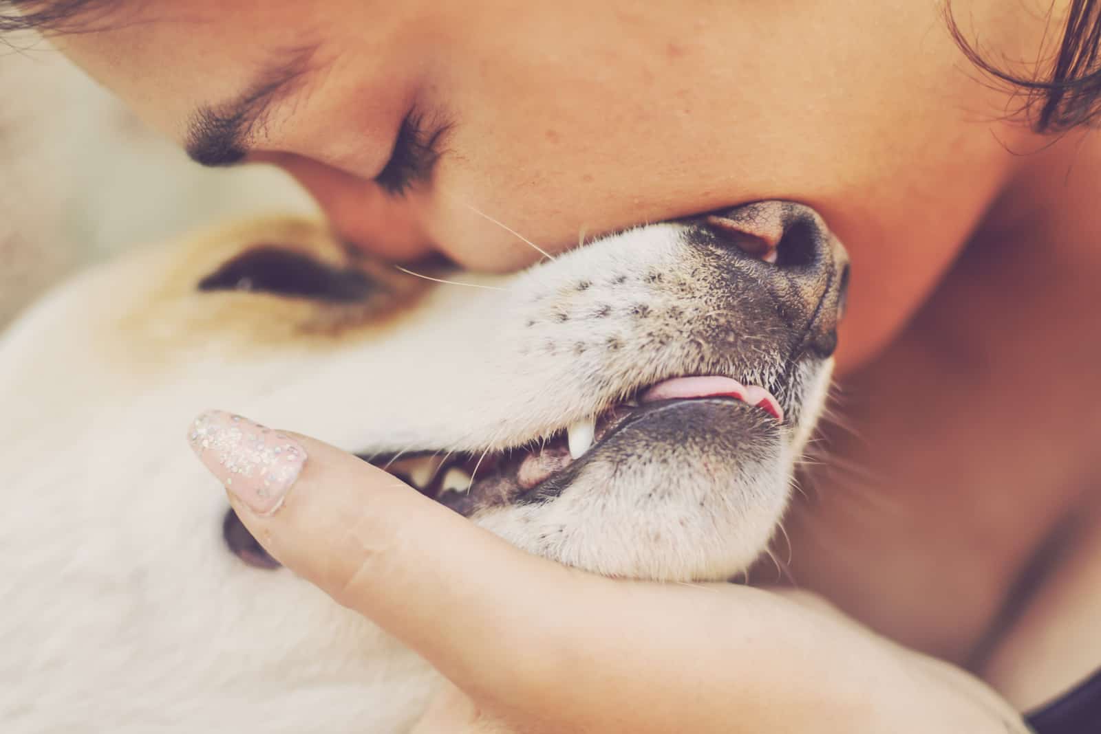 a woman petting a white dog