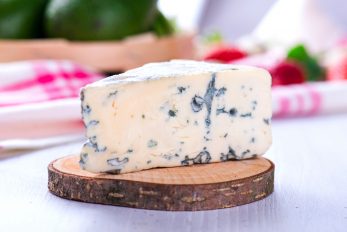 Can Dogs Eat Blue Cheese? The Truth About Dairy And Dogs