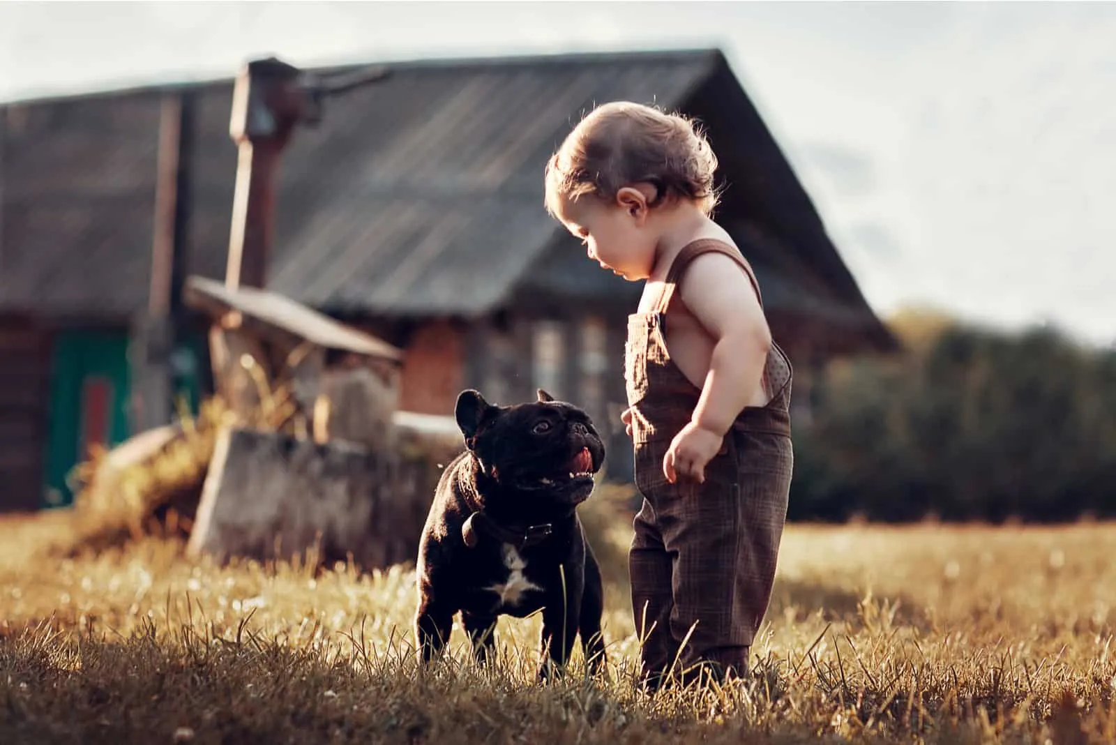 boy and French bulldog in the village