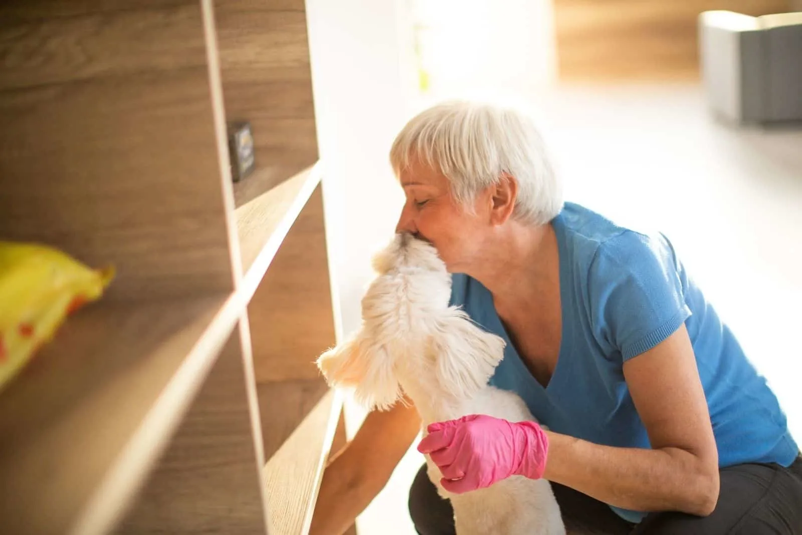 dog disturbing senior woman cleaning the house