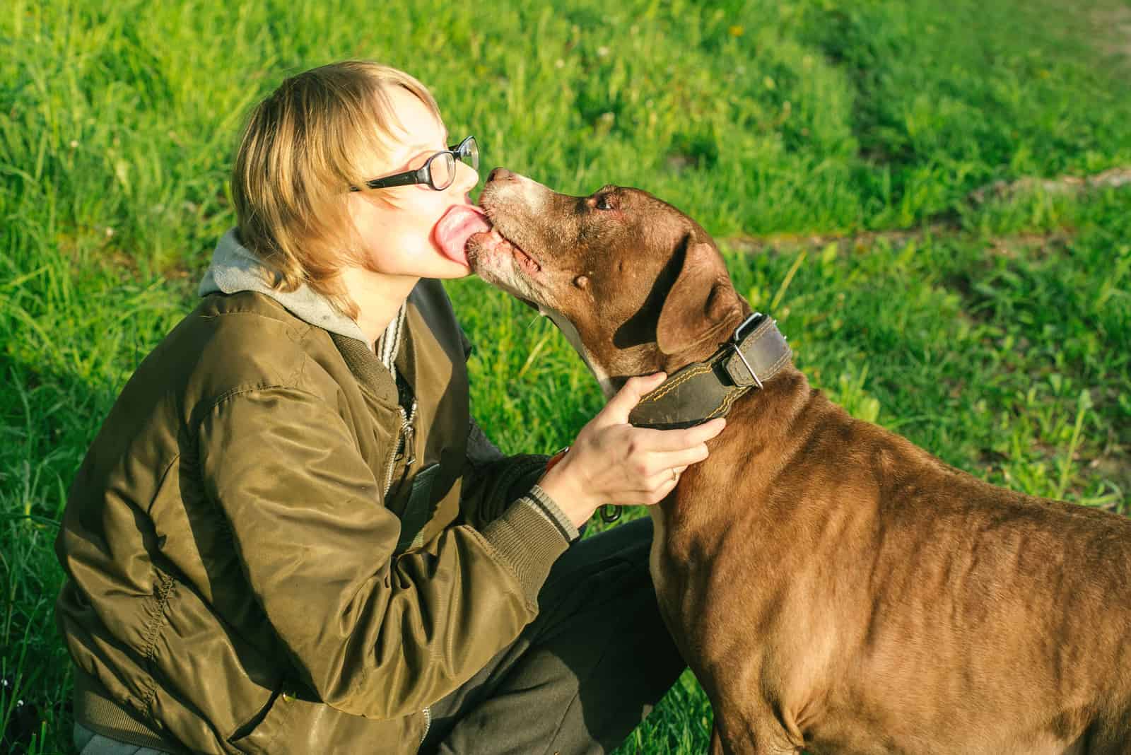 dog licking woman