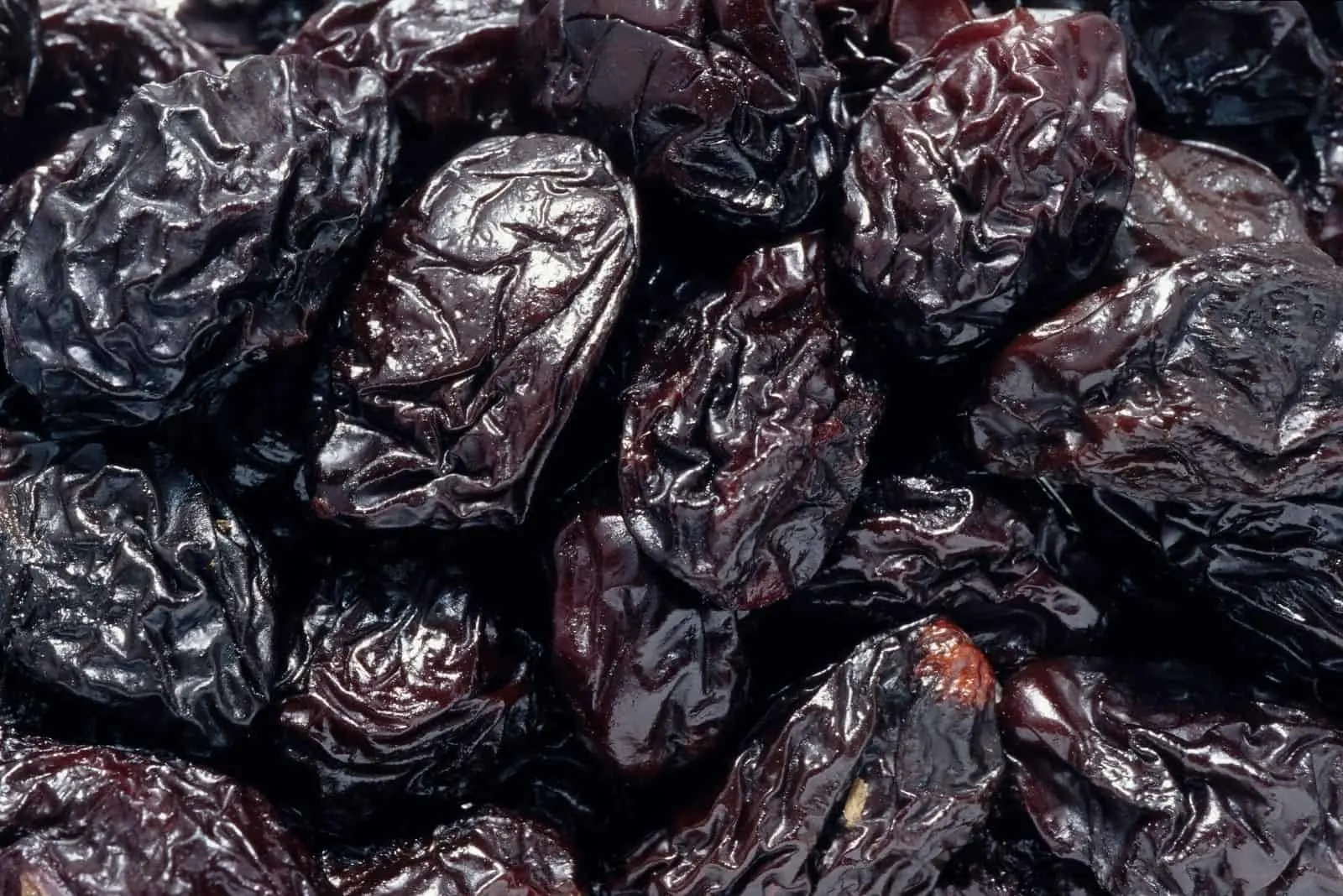 are prunes bad for dogs to eat