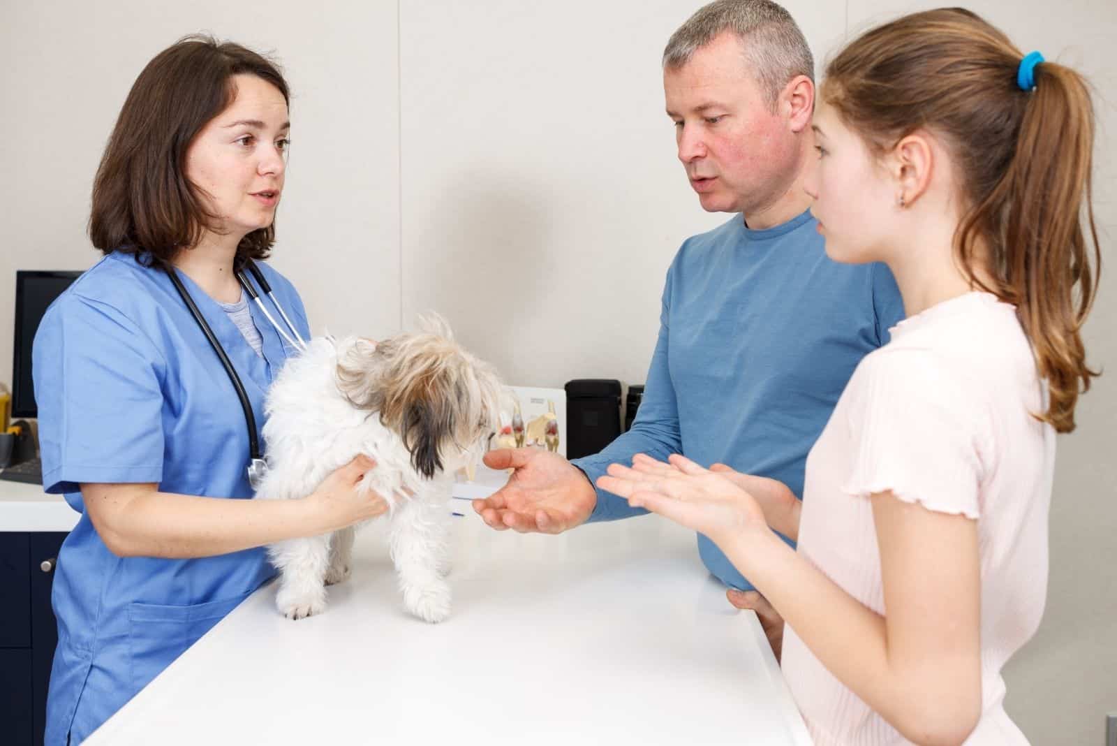 female veterinarian examining sick dog with it's owners in the clinic