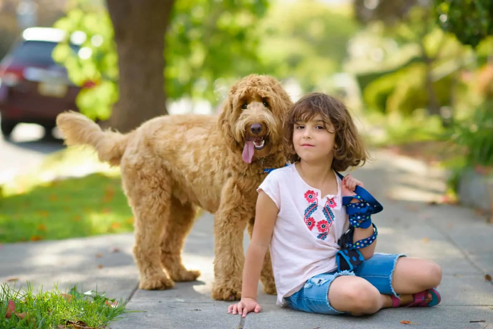 girl and labradoodle having fun outside