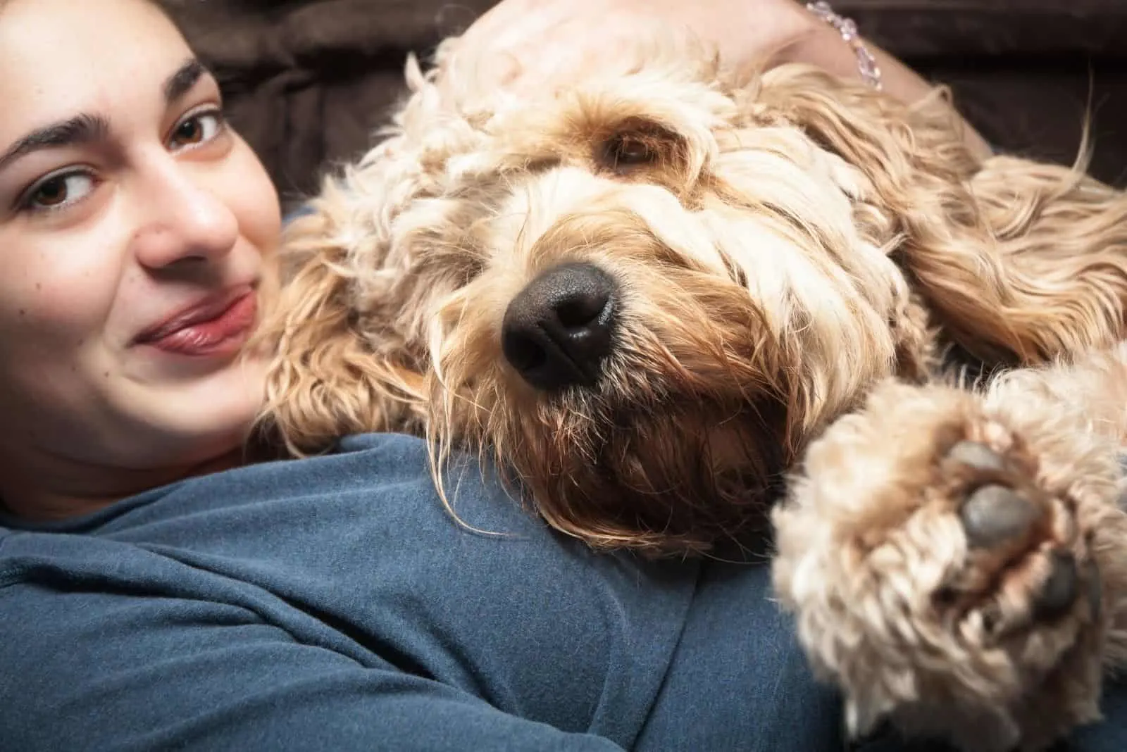 happy young woman cuddling with a standard goldendoodle 