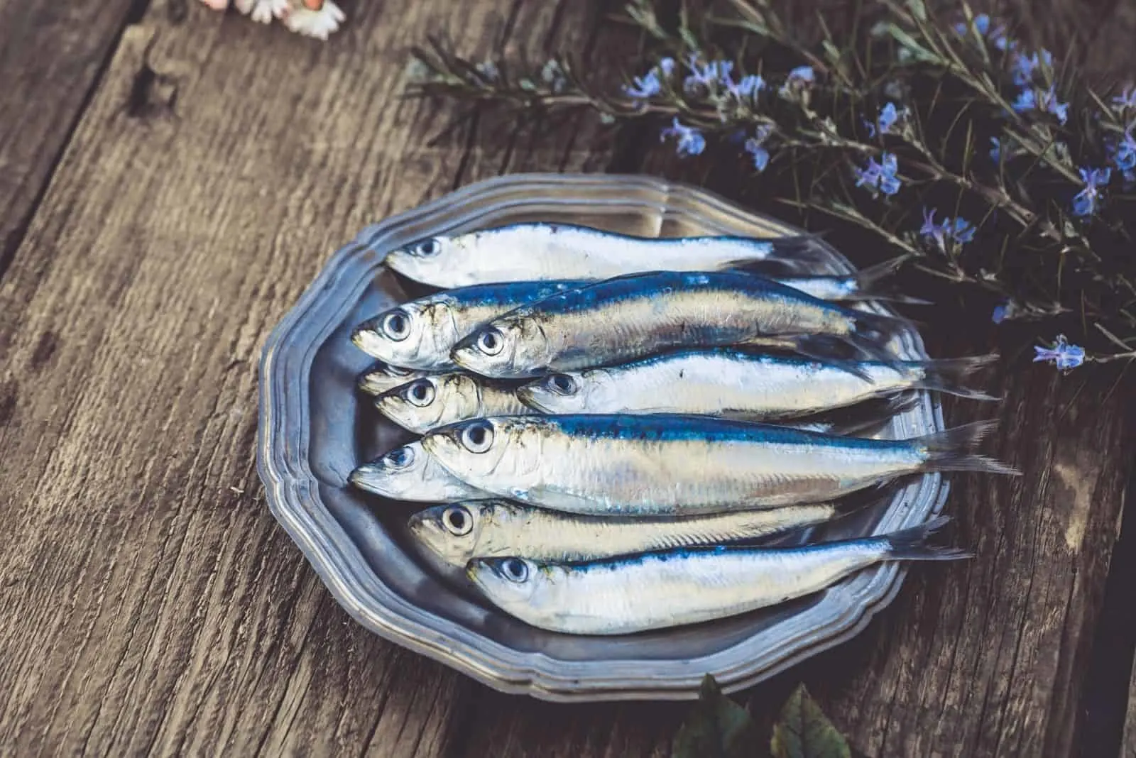 plate of fresh sardines on top of the wooden table with flower beside