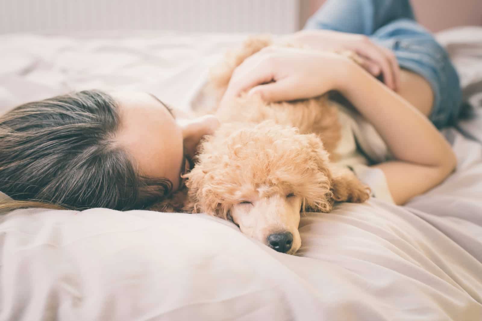 the brunette is lying in bed with a small brown dog