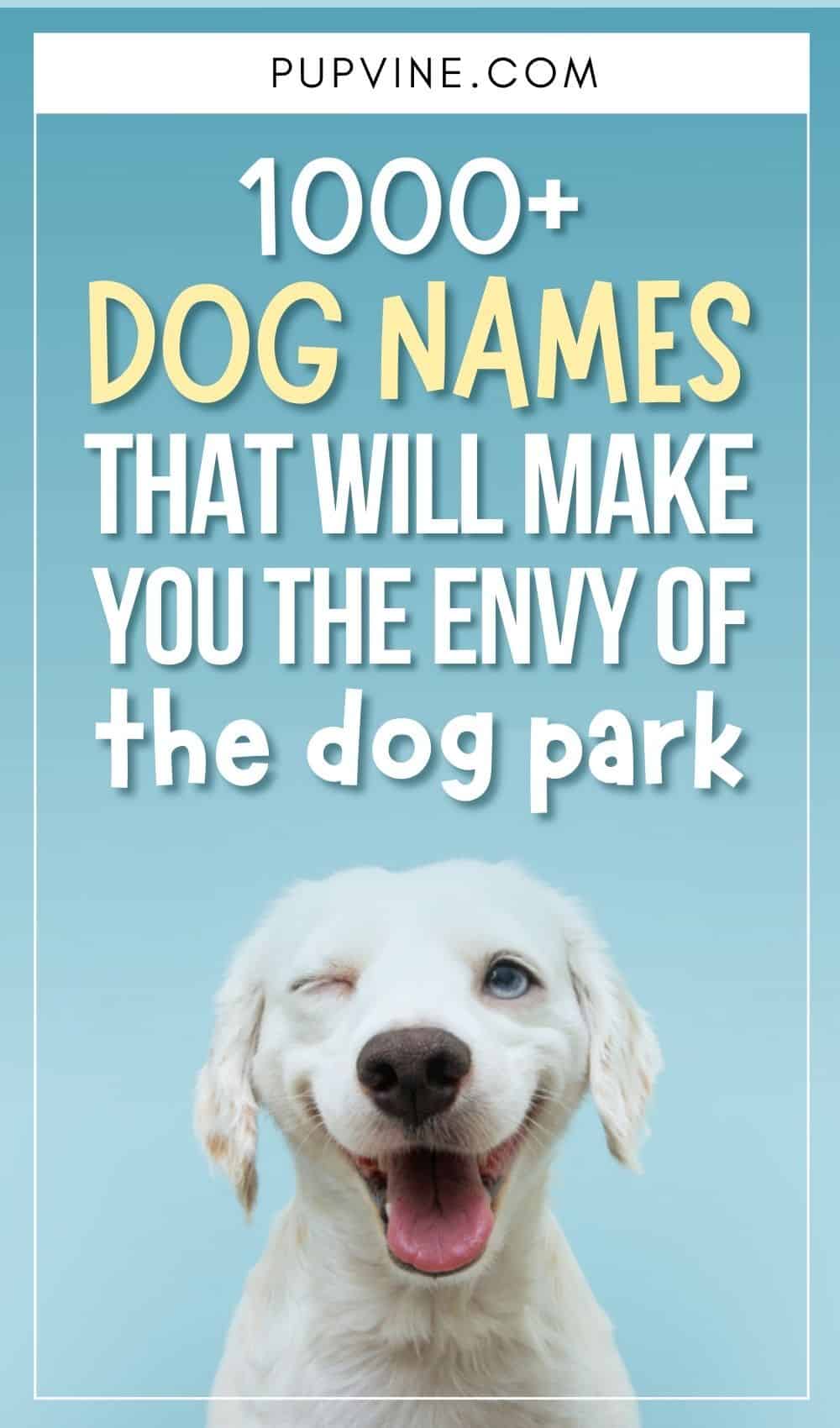 unique dog names