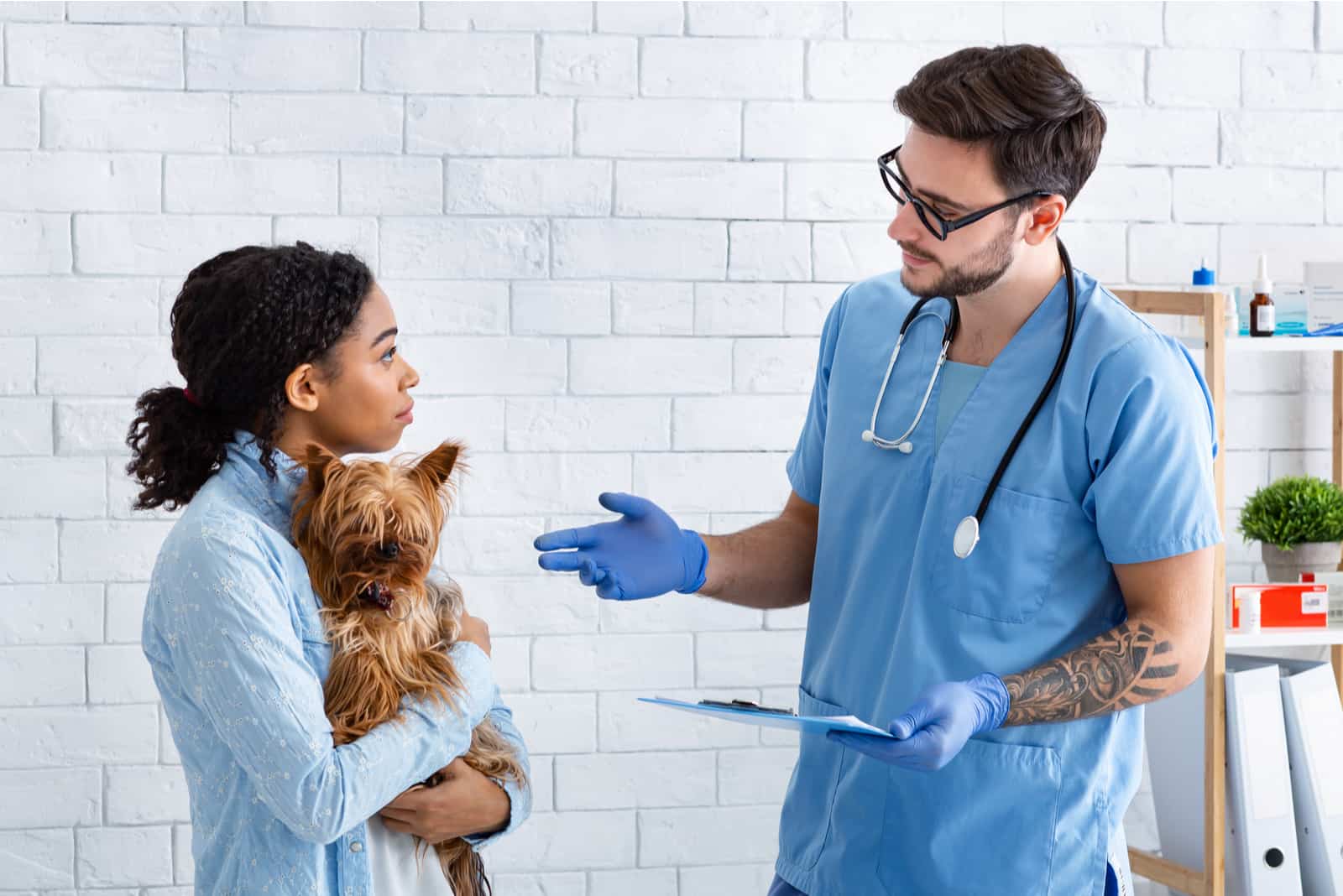 veterinarian doctor talking to client